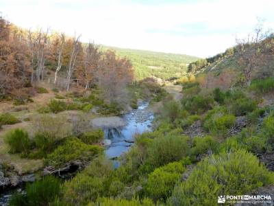 Hayedo Tejera Negra; piscinas naturales navafria calares del rio mundo bastones de senderismo marcha